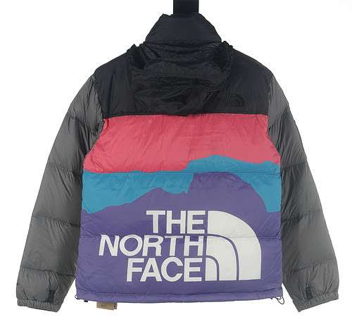 Piumino stampato North TNF INVINCIBILE Co brand 1996 colorato arcobaleno Snowy Mountain