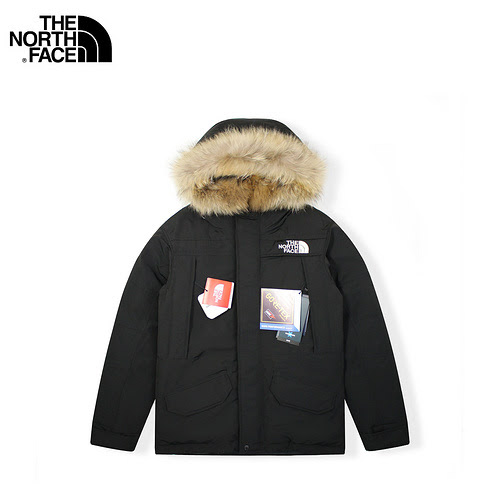 TNF versione giapponese del piumino di media lunghezza North Face antarcticaparka peak polar series