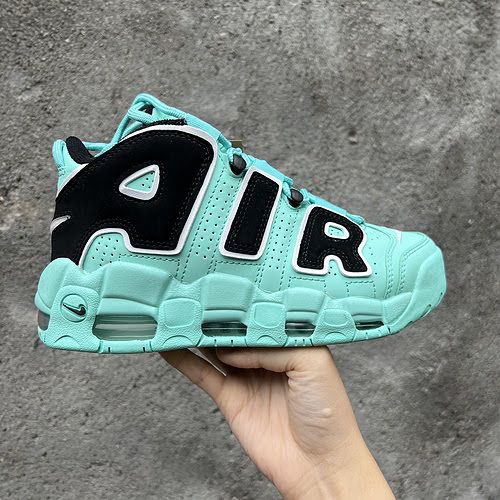 Pippen 12 Tiffany Blu 3645