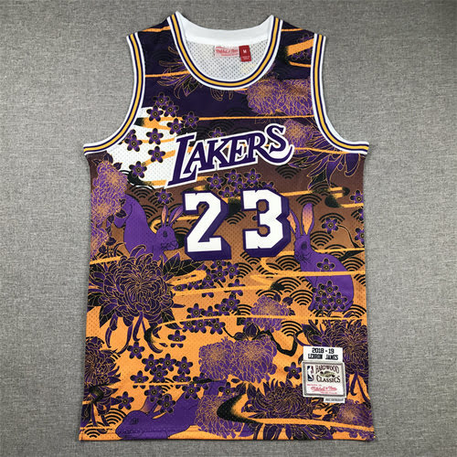 Lakers No. 23 James Year of the Rabbit Limited Edition Mitchell MN Retro