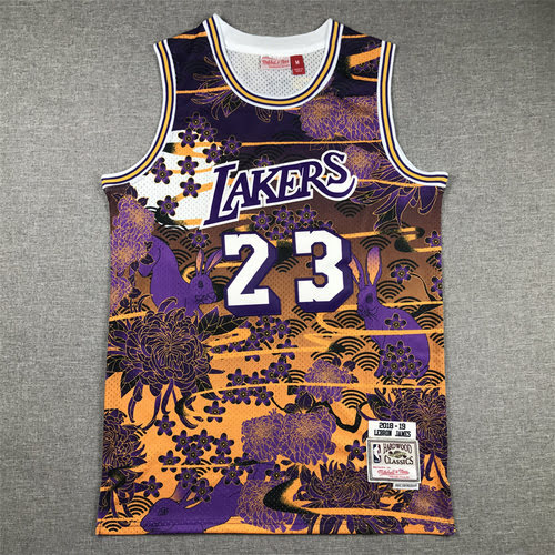 Lakers n. 23 James Anno del coniglio Edizione limitata Mitchell MN Retro