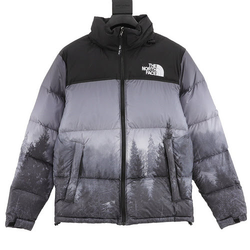 Piumino TNF North Face 1996