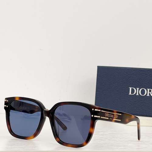 DIOR Diorsignafure S7F