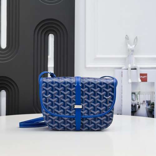 Borsa da sella GOYARD Borsa da donna GOYA Borsa a tracolla GOYA importata pelle bovina originale di 