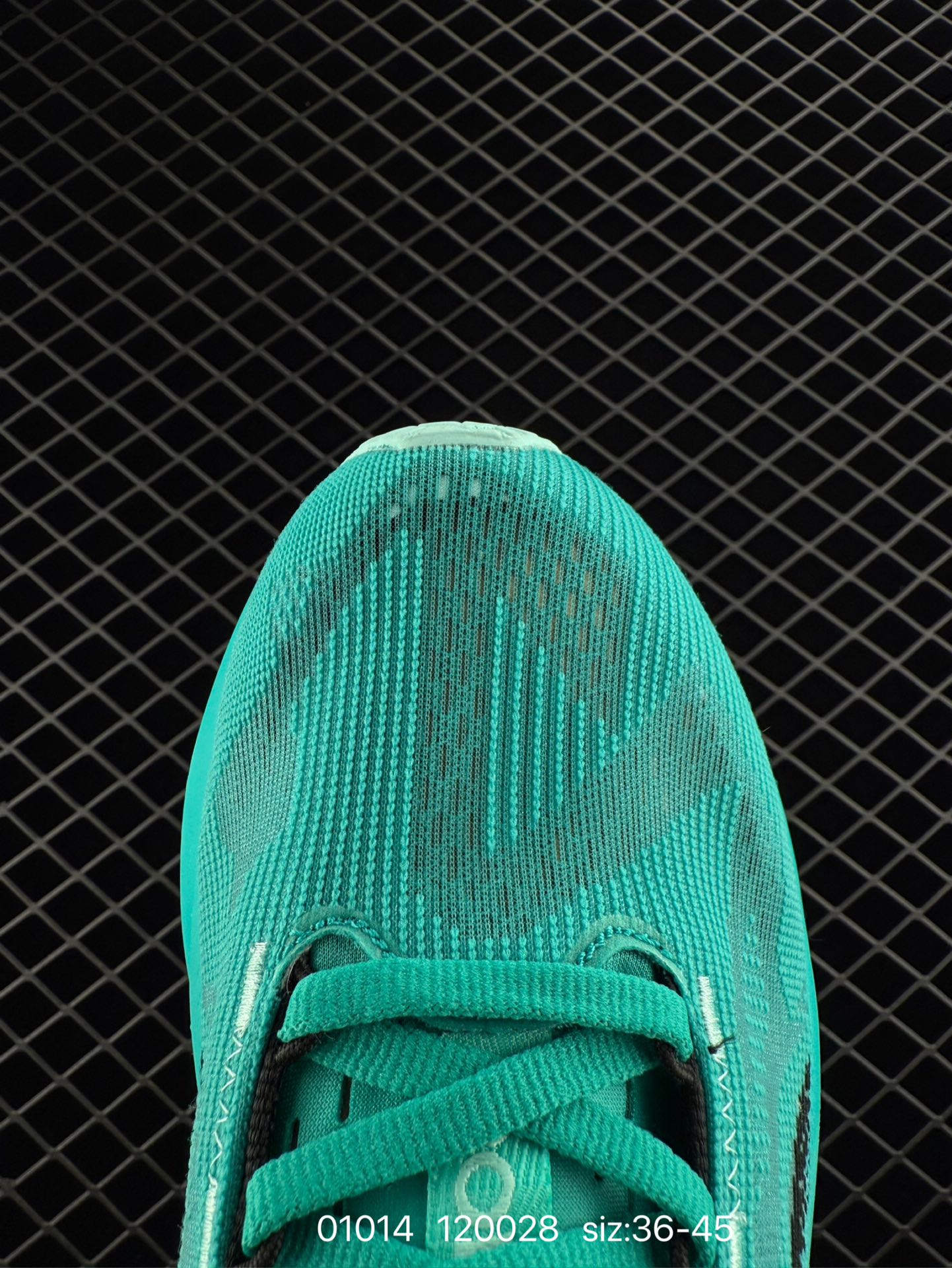 wsxc1736903607431_8.jpg