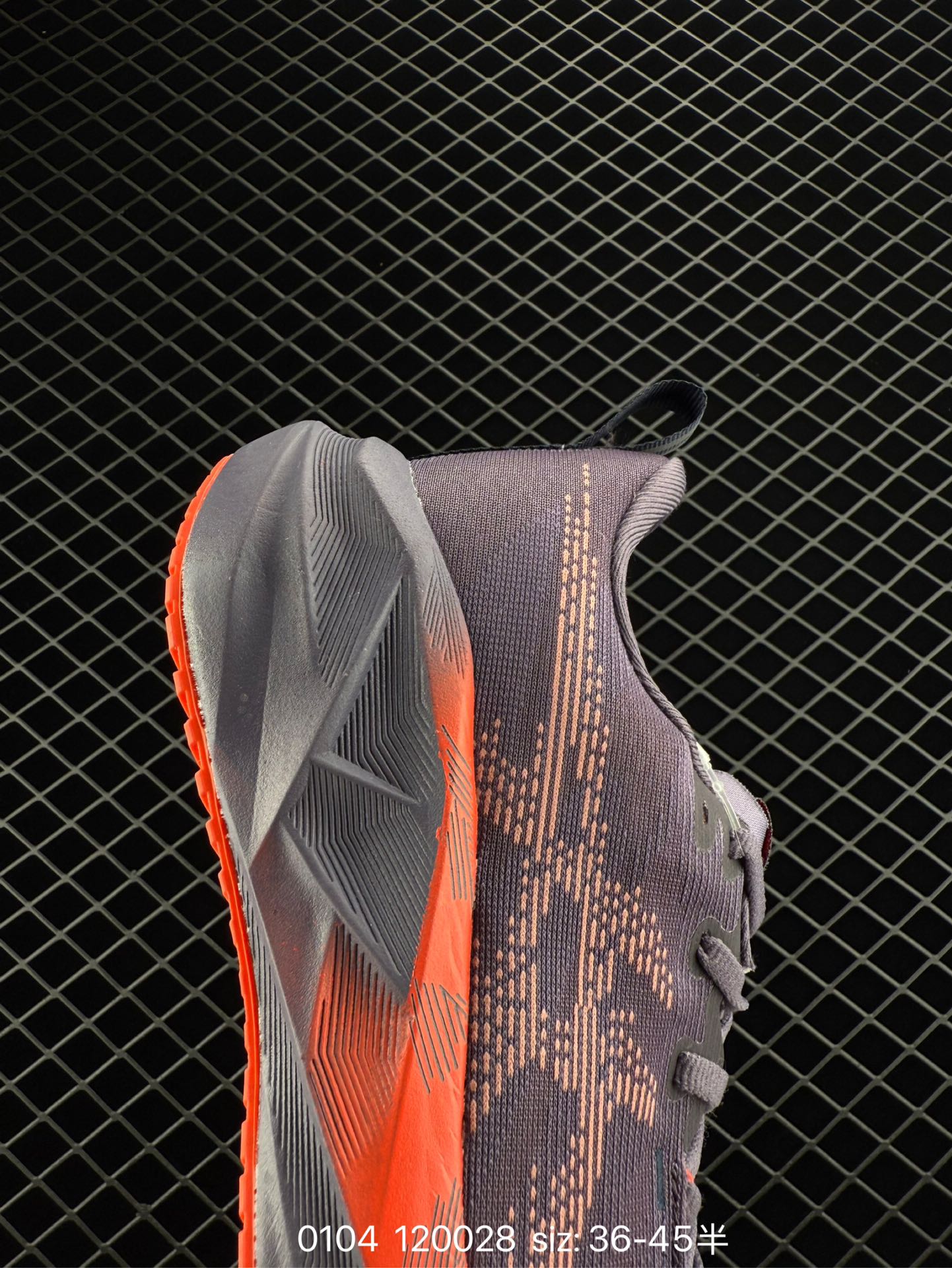 wsxc1736034841556_6.jpg