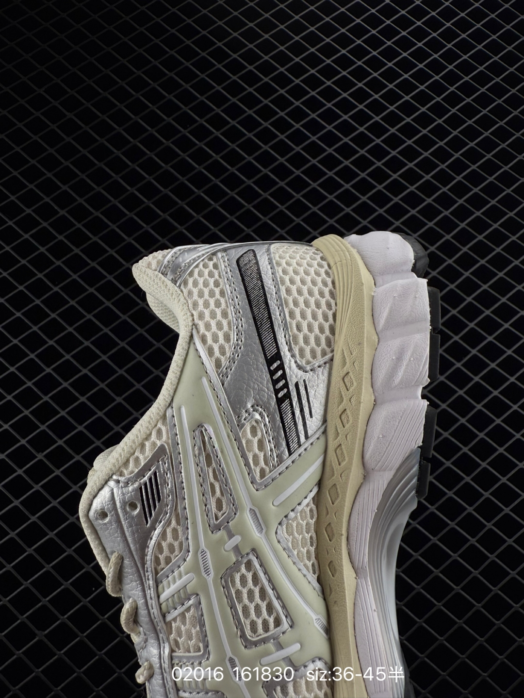 wsxc1739807824759_7.jpg