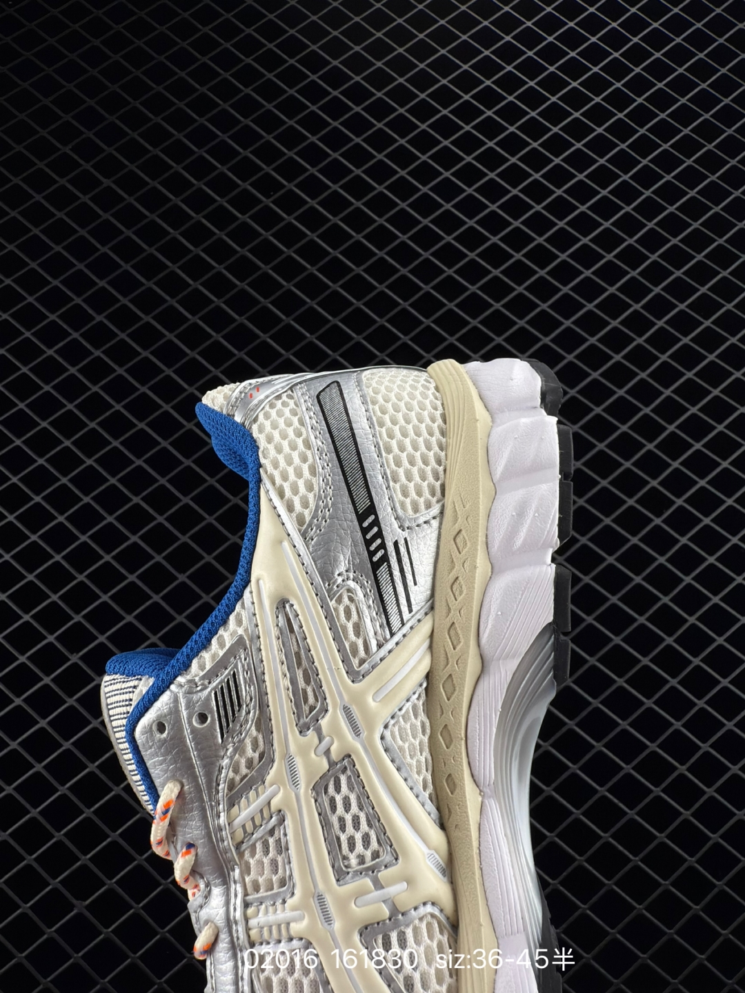 wsxc1739807829849_7.jpg