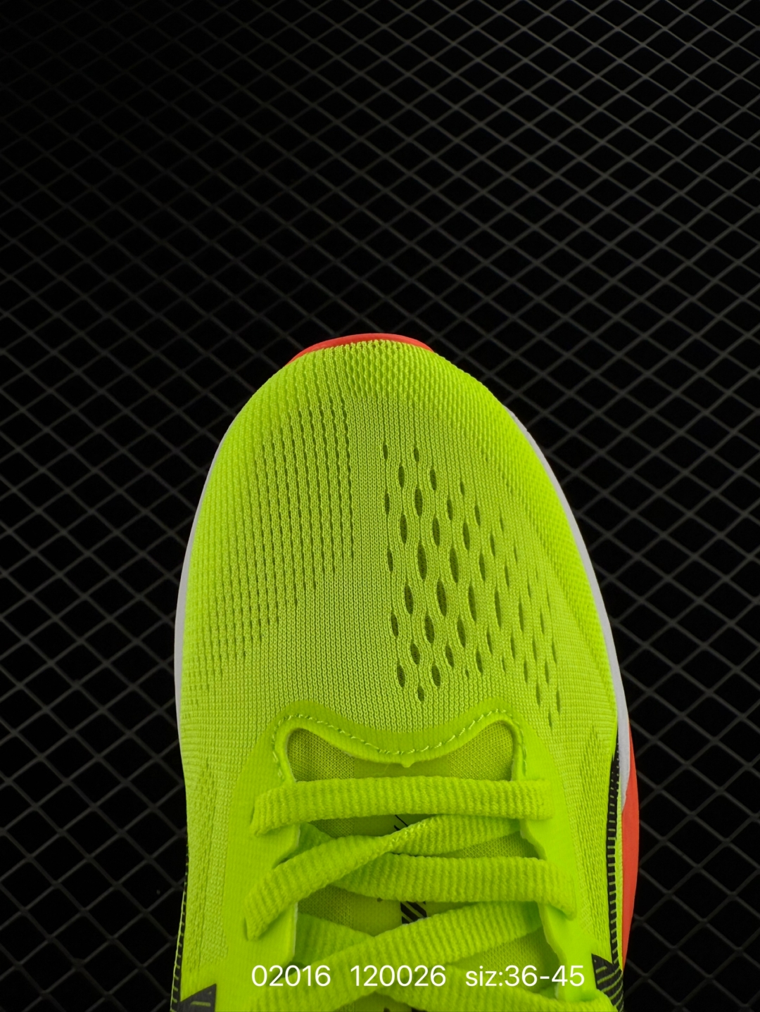 wsxc1739808300671_8.jpg