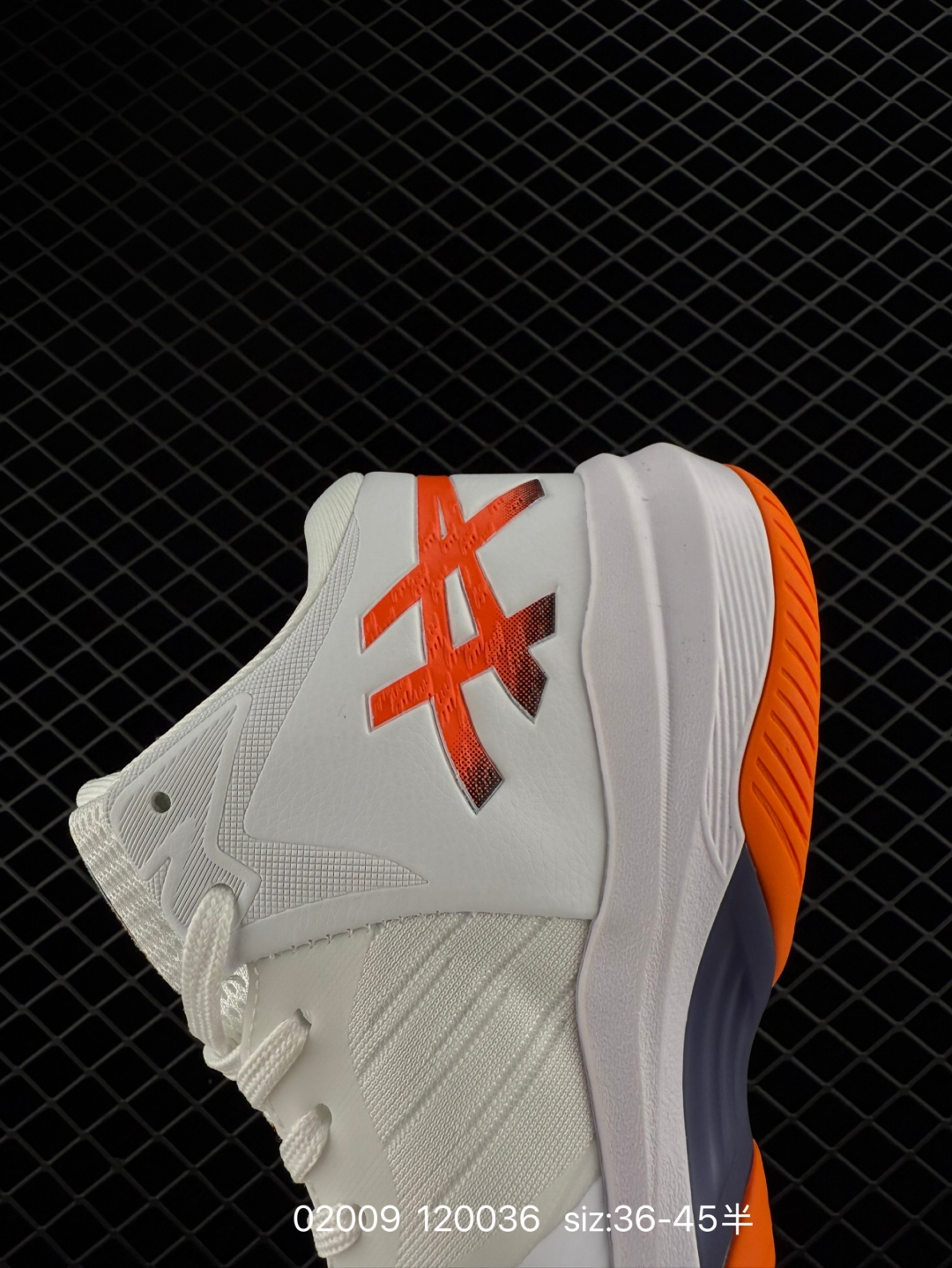 wsxc1739290936751_7.jpg