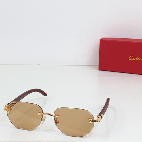 CT0610S