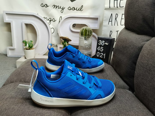 021D Adidas TERREX DAROGA TWO men's and women's outdoor sports shoes have a comfortable foot feel an