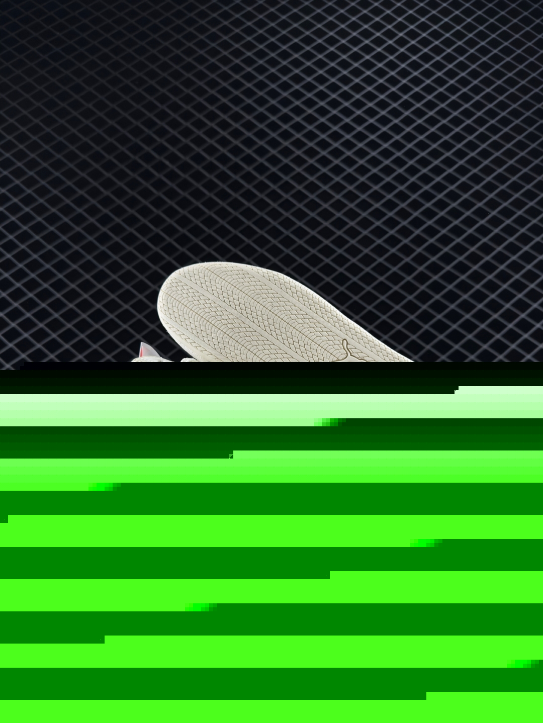 wsxc1743450234833_5.jpg