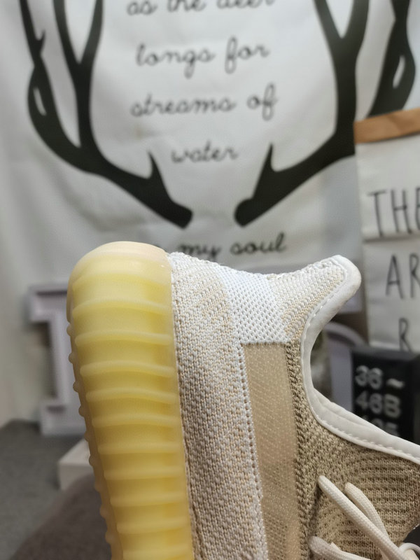 1741626443328.jpg