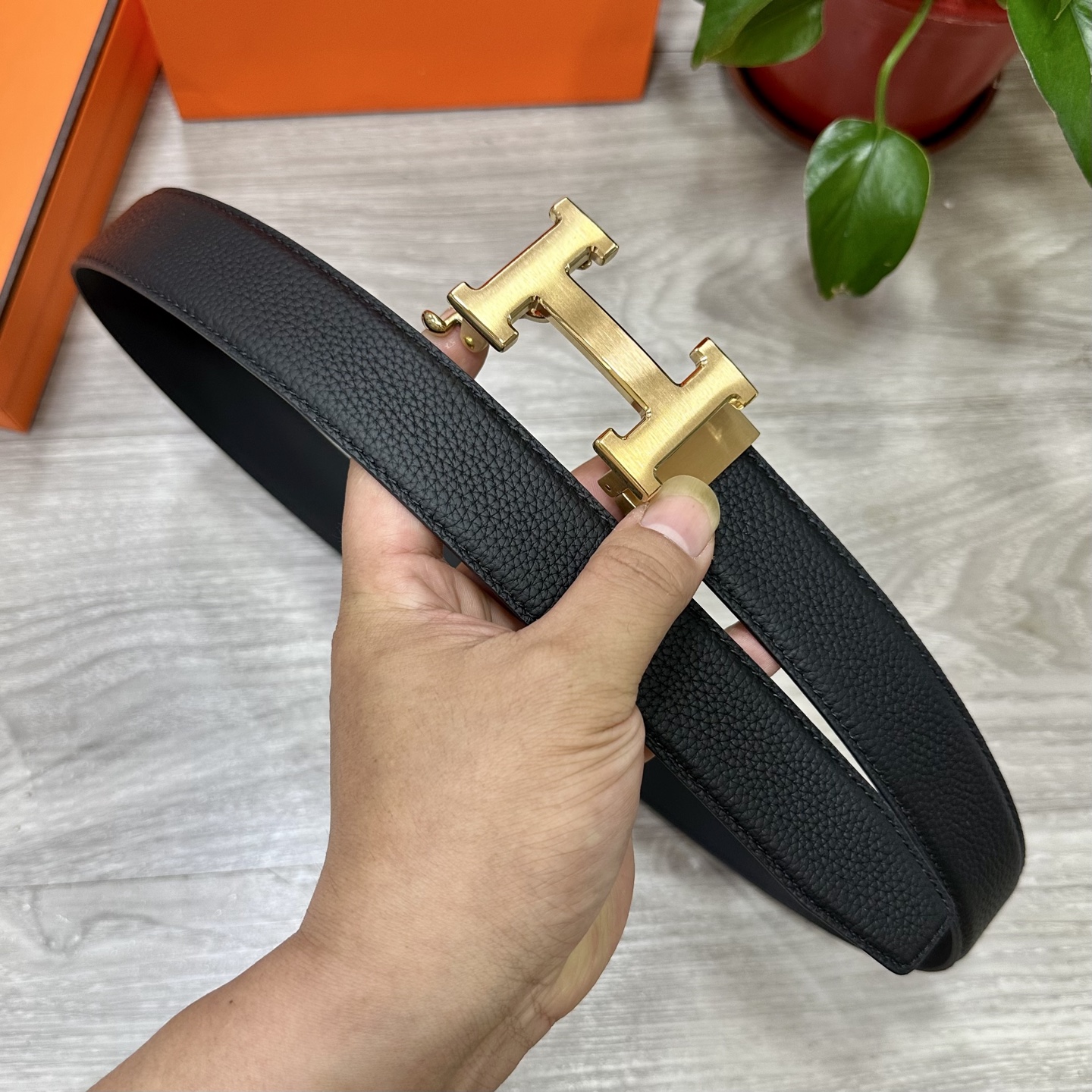HW001250 (4).jpg