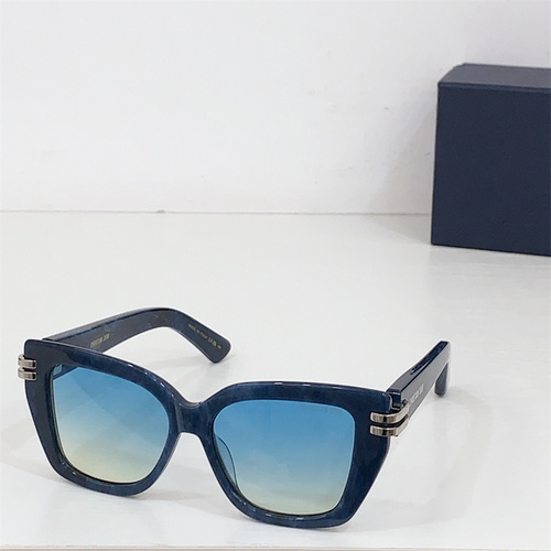 CDIOR S1I