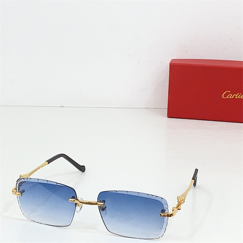 CT0093O