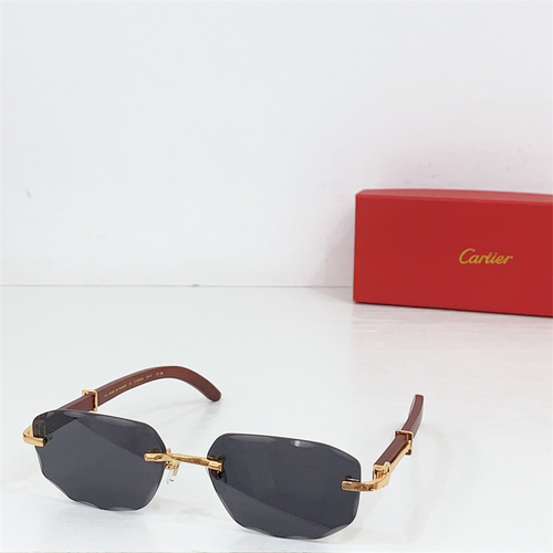CT0606S