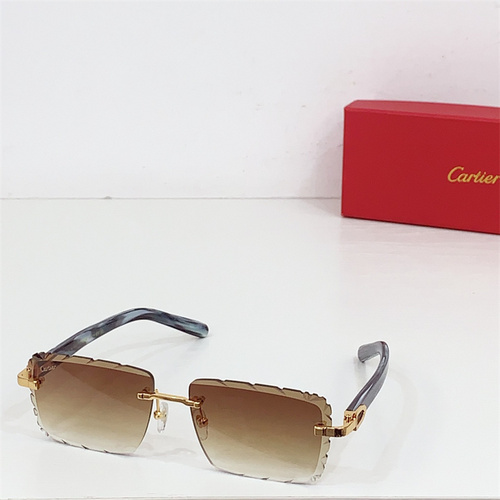 CT0528S