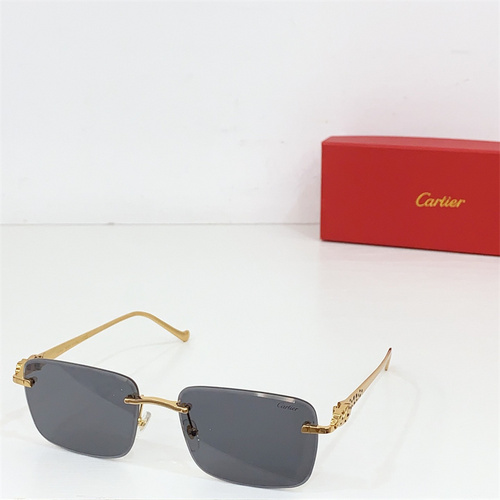 CT0479S