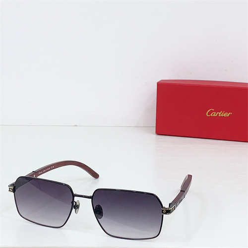 CT0519S