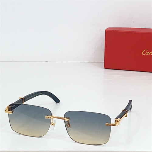 CT0608S