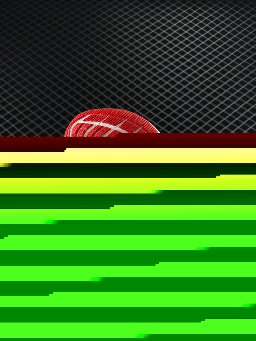 wsxc1744328351551_5.jpg