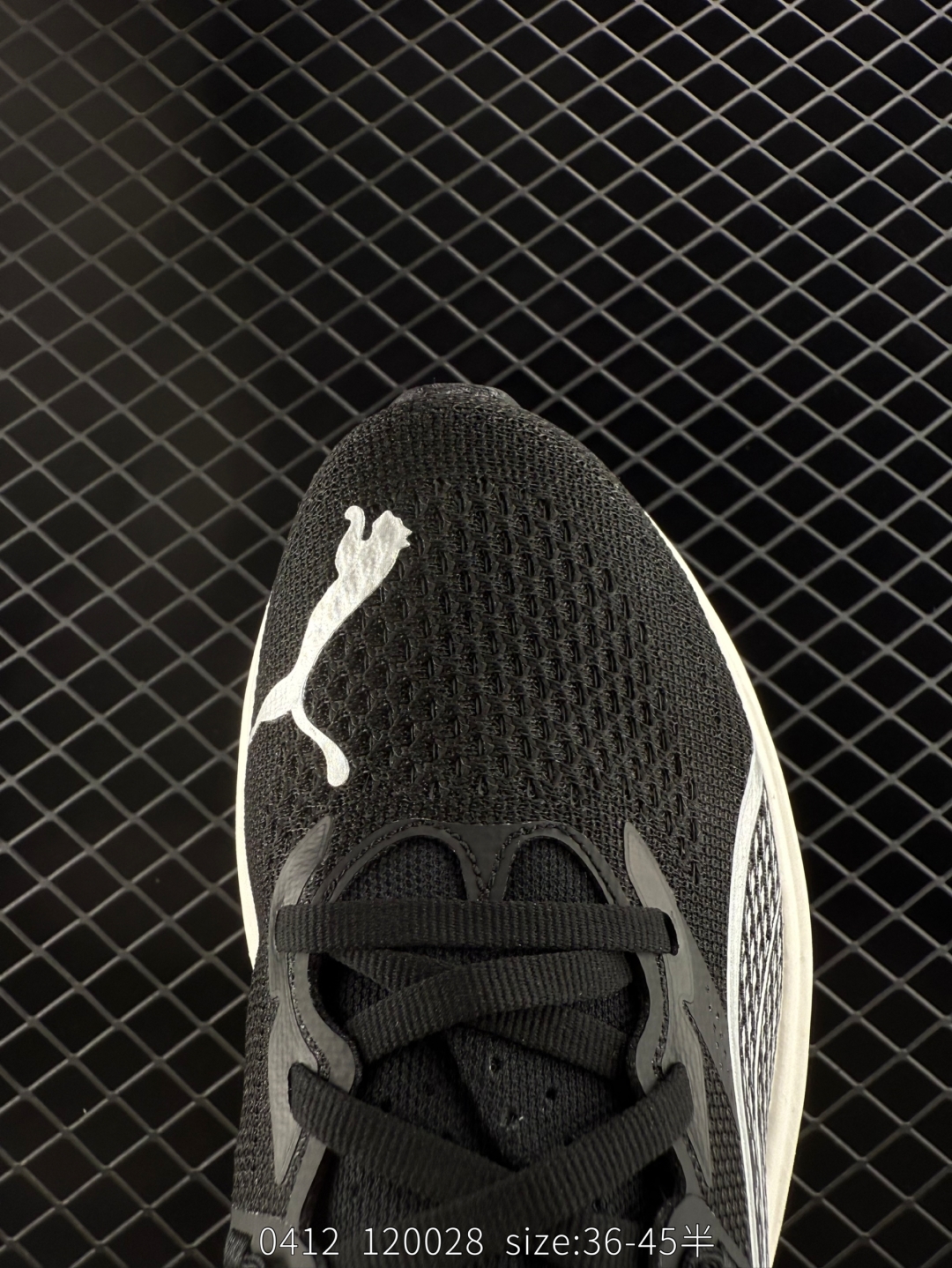 wsxc1744417793732_8.jpg