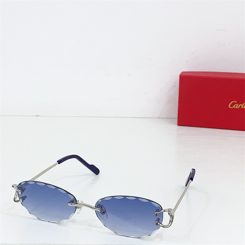 CT0599S