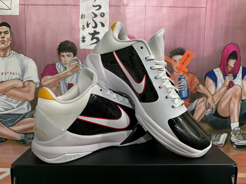 Bai Xiaolong 40-48.5