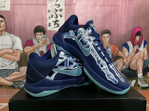 X-ray 40-48.5