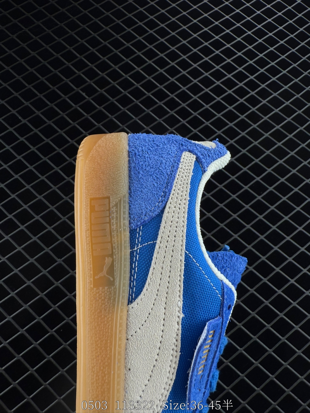 wsxc1746309557690_6.jpg
