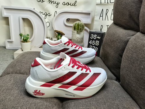 329D company level ✅ Adidas ADIZEROEvo SL JQ4576 lightweight running shoes. Adidas running shoe desi