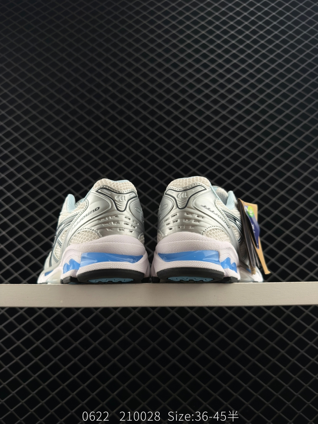 wsxc1750603782318_3.jpg